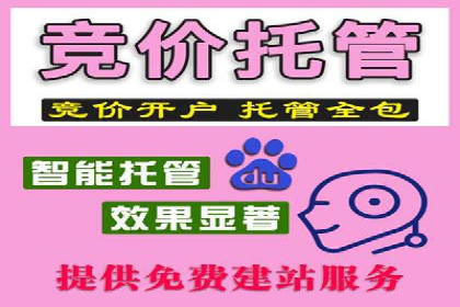 SEM竞价优化策略：成功案例解析